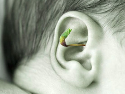 Copil dintr-un centru de plasament, cu un bob de grau incoltit in ureche