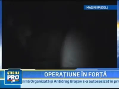 Au bagat spaima in zeci de femei din Craiova, dar au ajuns dupa gratii