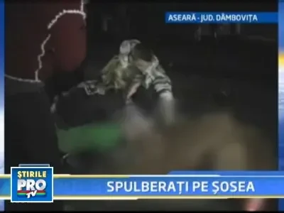 W2102_13_frati_morti