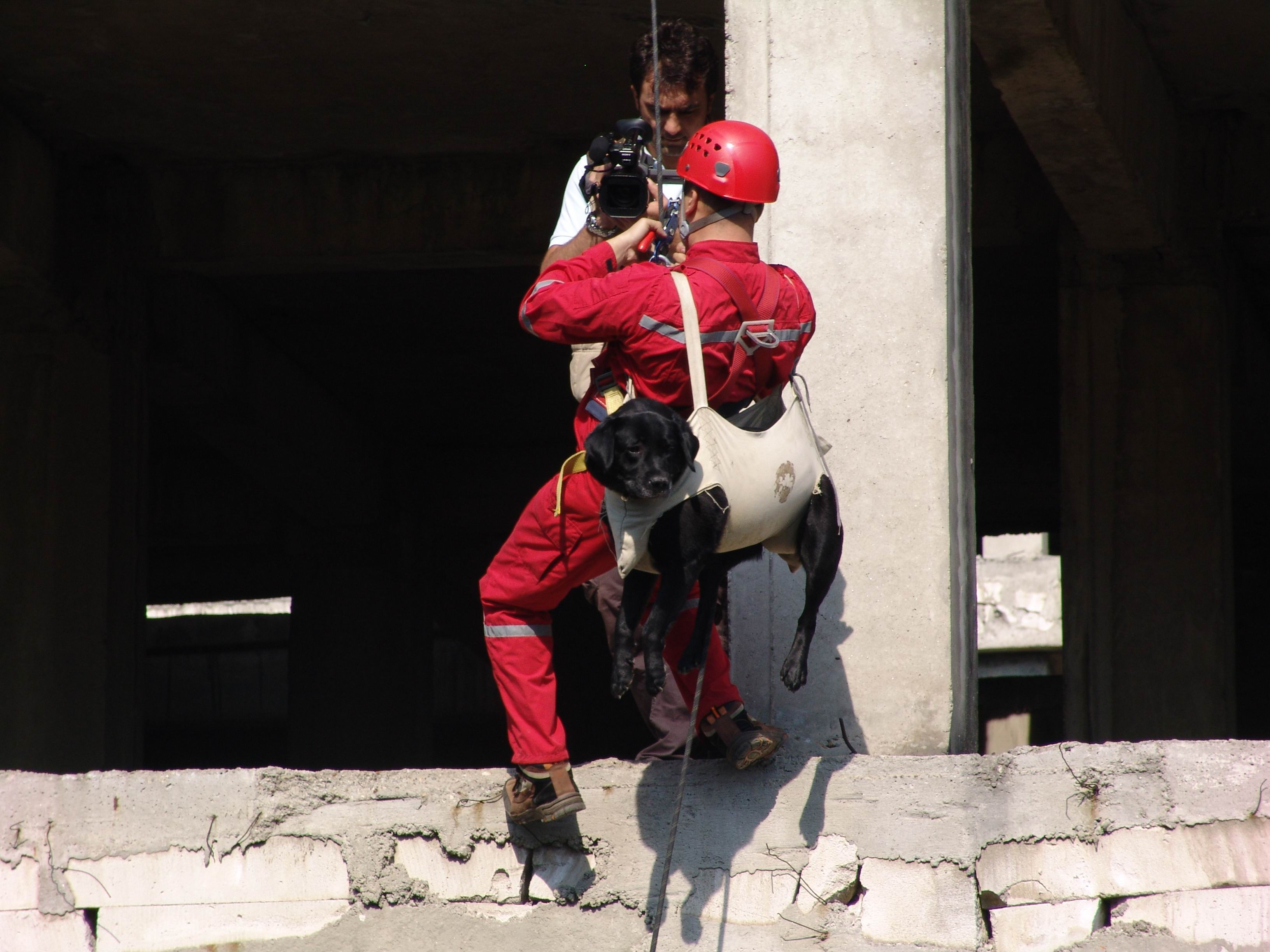 Te vezi la Stirile Pro Tv: Cainii cu inima de om - partea I