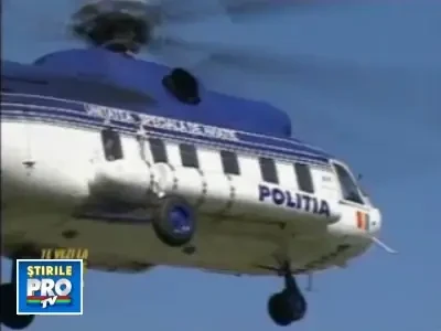 Te vezi la Stirile Pro Tv: Cainii cu inima de om - partea a II-a