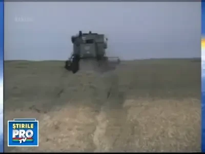 Producatorii de cereale ar putea incasa cu 30% mai multi bani pe grau