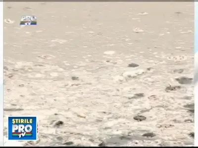 Romania, te iubesc! Ape otravite