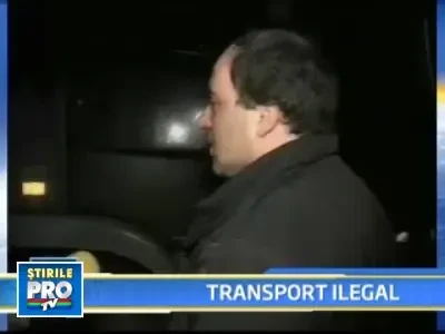 Amenda de 31.000 de lei pentru transport ilegal de lemne