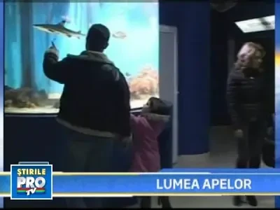 La Tulcea s-a deschis unul dintre cele mai mari acvarii din Europa