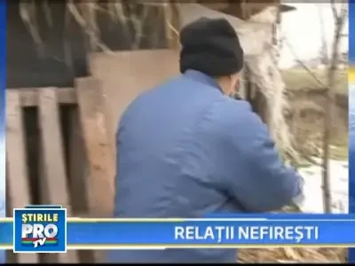 Stai, capra! Si a stat... Un tanar a violat doua capre gestante