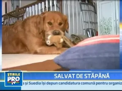 La 73 de ani a sarit intr-un lac inghetat pentru a-si salva cainele!