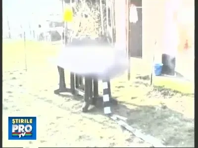 q19copilimpuscat270209