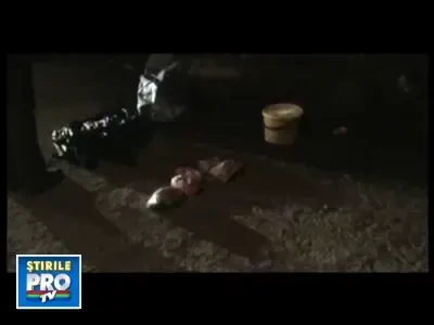 Mancare de la Protan direct in farfuriile noastre!