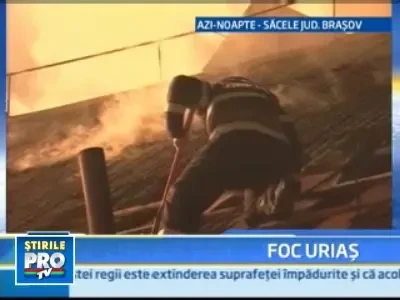 Incendiu violent la o fabrica de mobila din Sacele