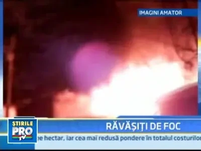 Incendiu violent in Capitala! Mai multe familii au ramas fara adapost