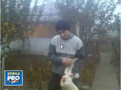 Traiesc printre noi! Monstri fara frontiere