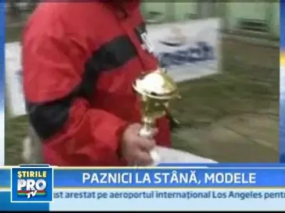 Oglinda, oglinjoara, cine e cel mai frumos caine din tara?