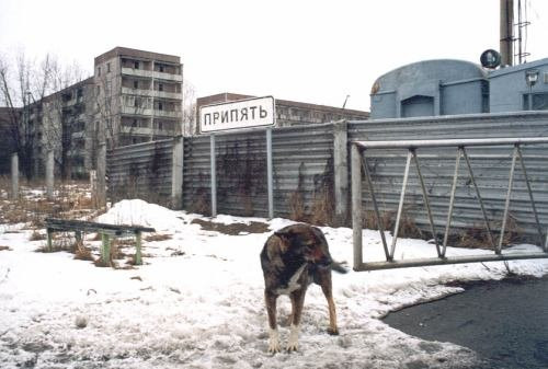 Destinatii fantoma: vacanta la Cernobil sau in insula interzisa din Japonia