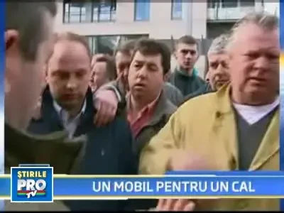 Mobilul meu pentru un cal! Sau...40 de dolari
