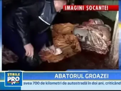 Imagini socante! Focar de infectie intr-un abator din Constanta