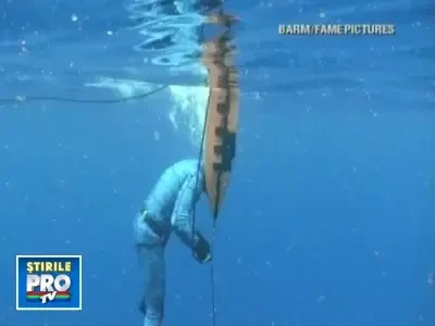 IMAGINI INCREDIBILE! Un om in lupta cu un rechin de patru metri!