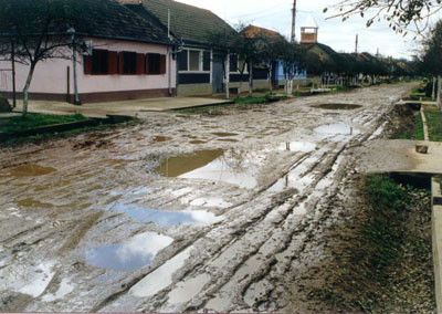 Un primar intreprizator: vrea bordeluri in comuna, fix ca-n Amsterdam!