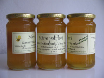 Apicultorii romani au cu se mandri! Au ajuns pe locul 4 in Europa, la productie de miere