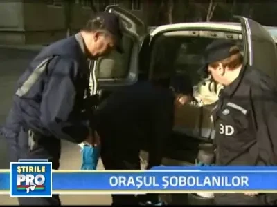 Bucurestiul anului 2009, un cuib de sobolani!