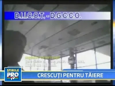 Copiii vanduti de parinti pentru organe. Medicii sunt socati de cum arata