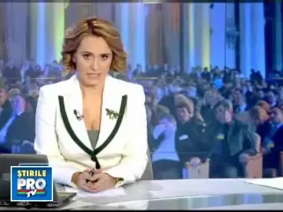 Ziua C: Calin sau Crin, la sefia PNL?