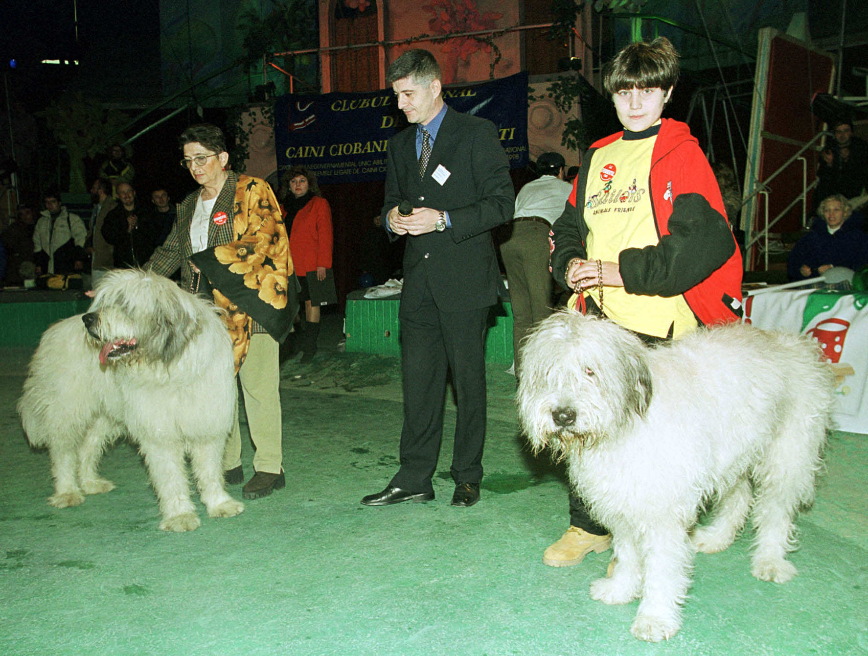 Oaspeti cu greutate au latrat la Bran! Vezi cei mai frumosi ciobanesti