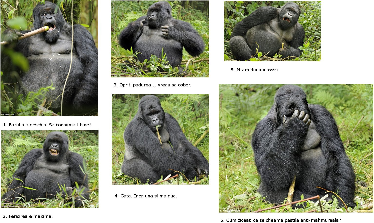 In cautarea sufletului pereche, pe repede inainte!