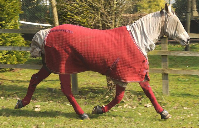 Pandora, o iapa la costum!