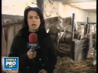 Imagini dezolante! Lipitani de sute de mii de euro mor de foame in mizerie!