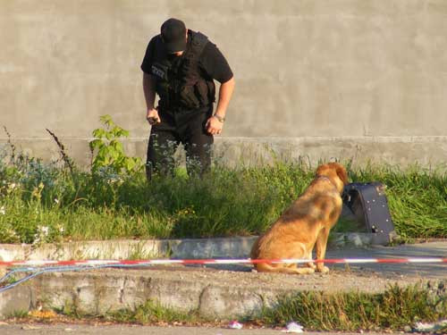 Emotii mari in Catedrala din Deva. O geanta suspecta a pus jar autoritatile