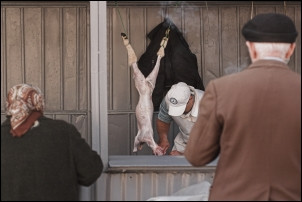 Ne asteapta un Paste mai saracacios: mieii vor fi foarte putini!