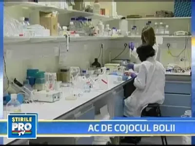 Tratament revolutionar impotriva cancerului!