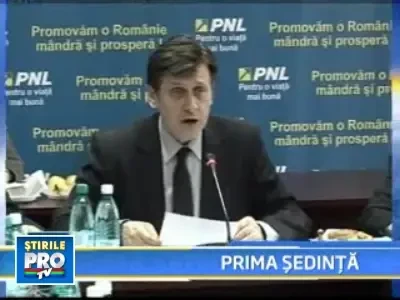 Norica Nicolai va deschide lista PNL pentru euro-parlamentare