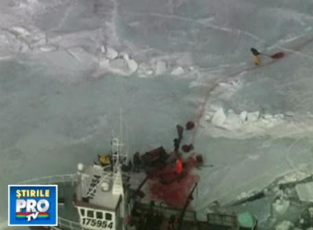 DRUMUL SANGELUI! Foci ucise cu bestialitate!