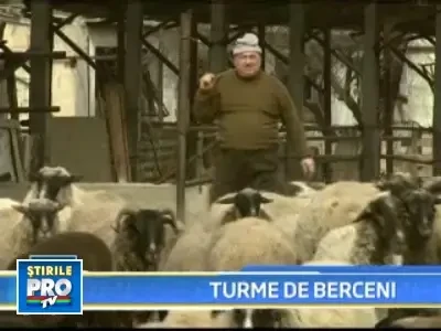 Mieii pentru Paste se vand la marginea drumului