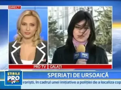 Uite ursoaica! Prinde-o daca poti!