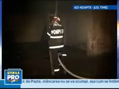 Flacari uriase intr-o localitate din Timis