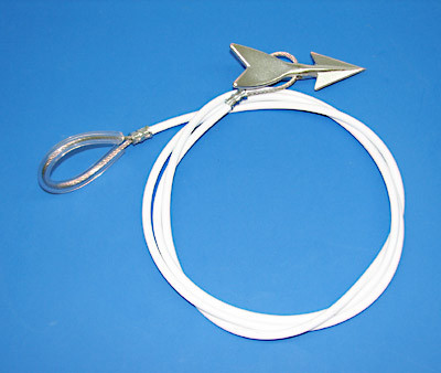 I-a intrat un harpon de 15 cm in cap, dar a supravietuit!