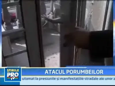 Consiliul Judetean Timis e in razboi! Cu porumbeii!