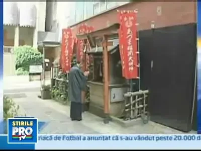 Ai imbraca un kimono de 10.000 de dolari?