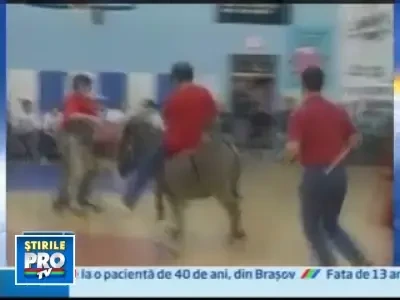 Cat de greu e sa joci baschet calare pe un magar?!
