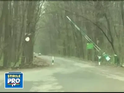 Controversa: 100 de hectare din padurea Baneasa, transformate in parc?