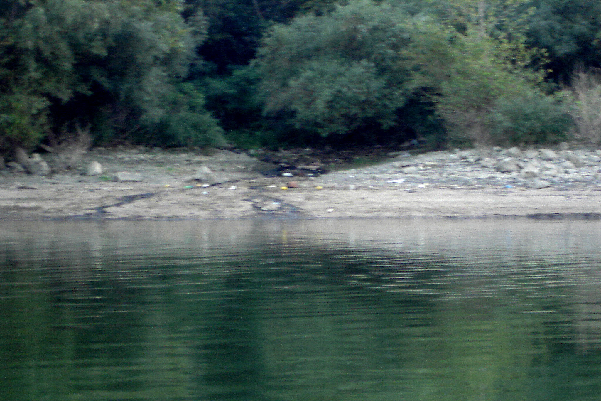 Dunarea poluata, in apropiere de Cernavoda