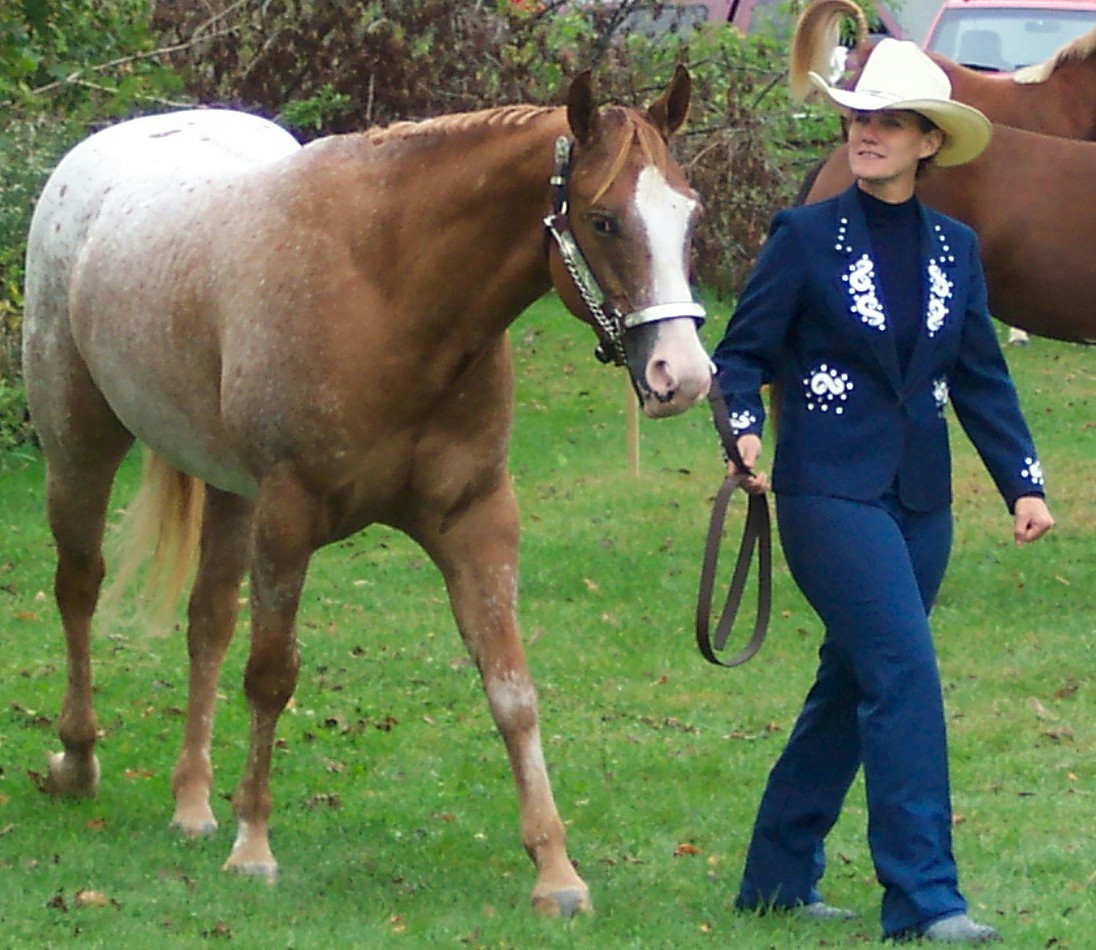 Cai mai scumpi decat o garsoniera, in Ilfov!