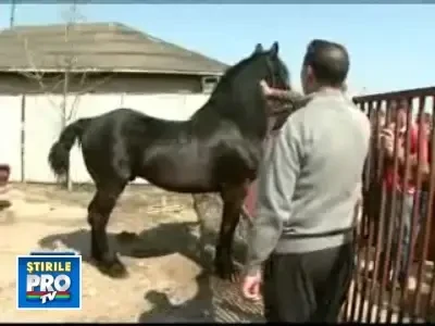 Cai mai scumpi decat o garsoniera, in Ilfov!