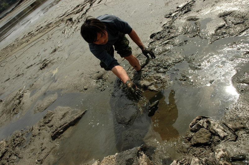 Chinezii protestatari ar lucra si in agricultura pentru o bucata de paine