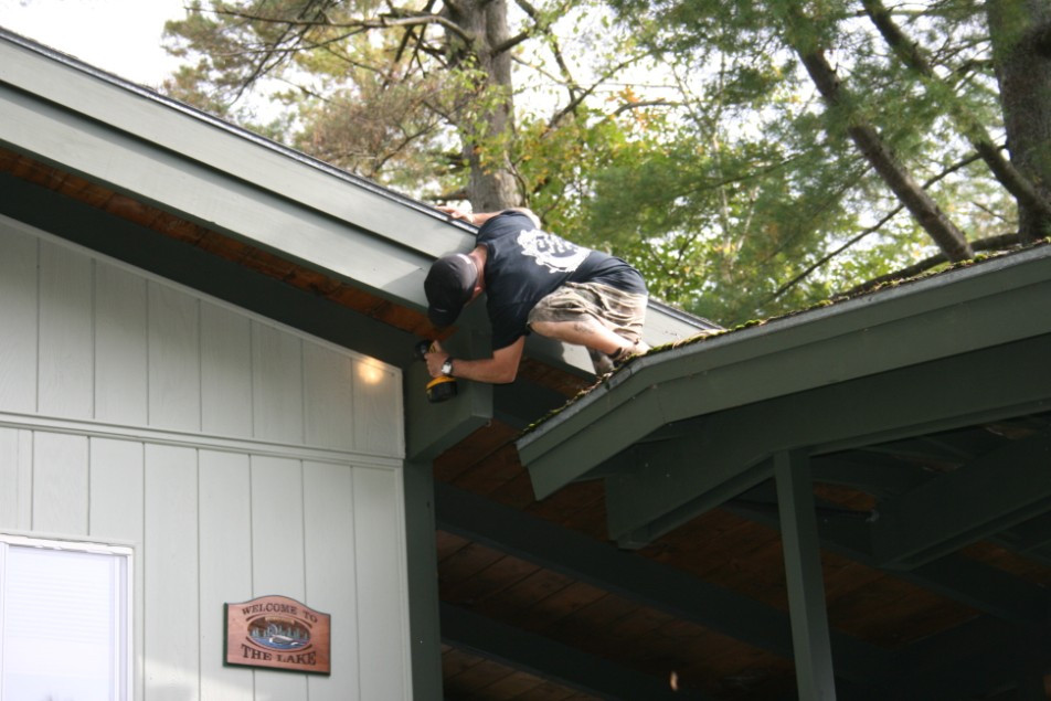 Liliecii mor pe capete in Vermont. De vina e sindromul nasului alb