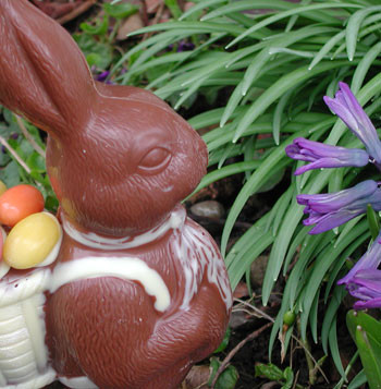 Iepuras de ciocolata demn de Cartea Recordurilor! Cantareste trei tone