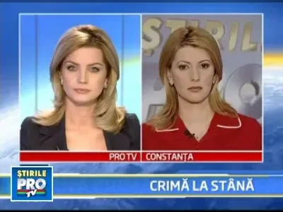 Crima la o stana din judetul Galati! Un cioban si-a injunghiat colegul